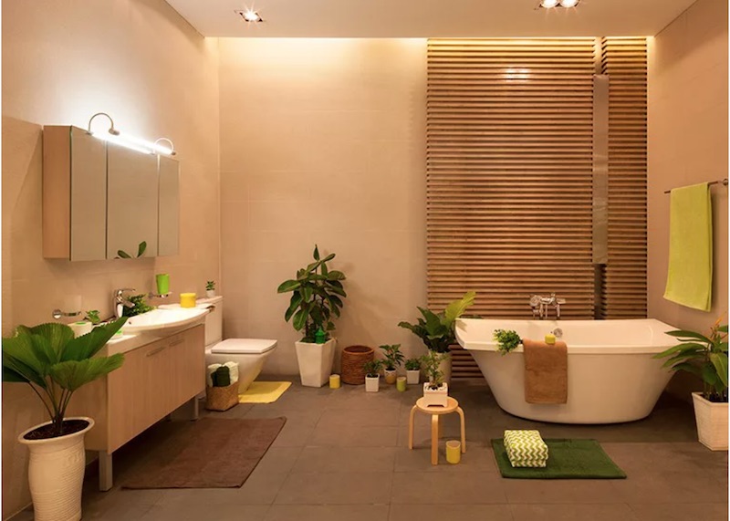 Những vị trí thích hợp để trồng cây tại phòng tắm