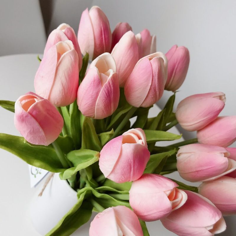 Hoa tulip đẹp sang trọng