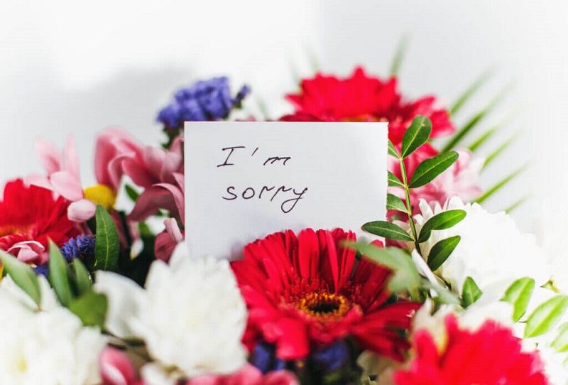hoa mang ý nghĩa xin lỗi